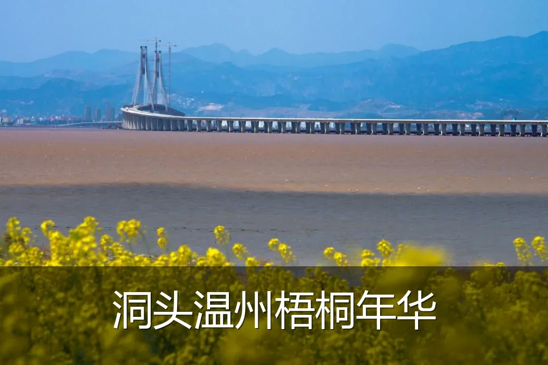 洞头温州梧桐年华